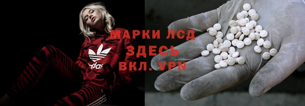 кокс Баксан