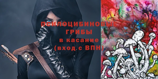 шишки Арсеньев