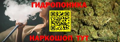 ГАЛЛЮЦИНОГЕННЫЕ ГРИБЫ Азнакаево