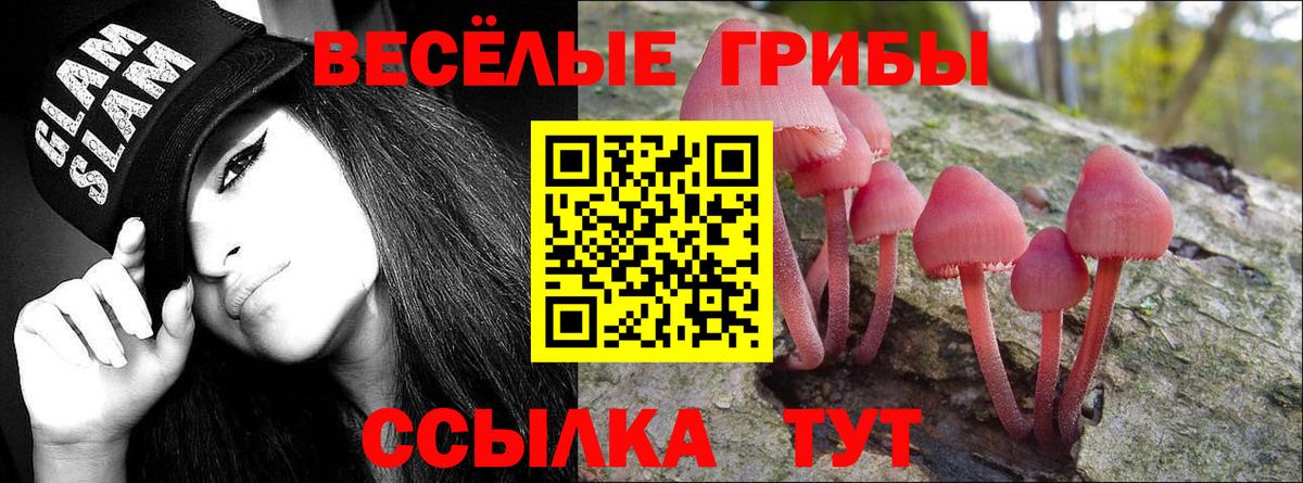Псилоцибиновые грибы GOLDEN TEACHER Амурск